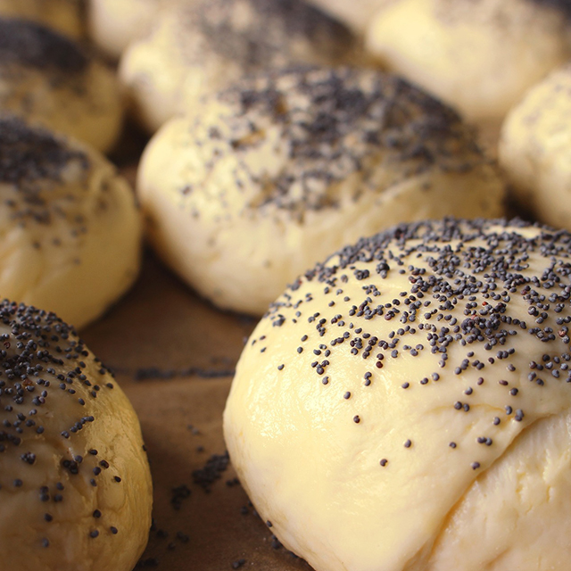 Exciting News: Our Bread Production Line Officially Launches in Indonesian Factory